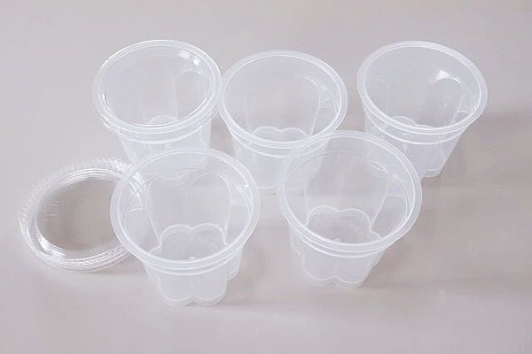 【日本製 | 5個裝】日本帶蓋花形布丁杯 【Made in Japan | Set of 5】 Lidded Floral Pudding Cups