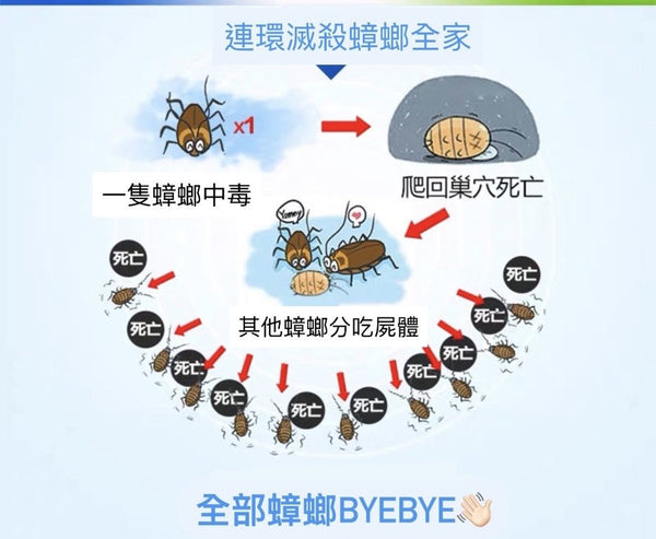 [勁有效] 德國Bayer 曱甴剋星 cockroach killer roach baits insect repellent