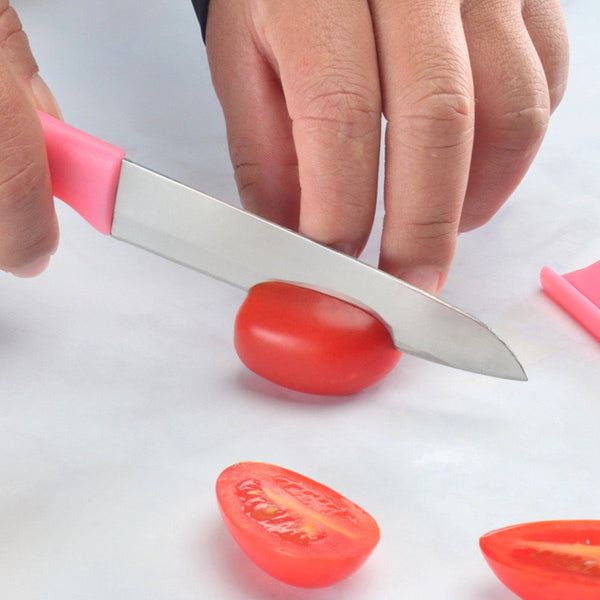 (優惠2件裝) 不銹鋼生果刀 削皮刀 (2pcs set) Stainless steel fruit knife and peeler