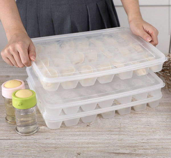有蓋餃子餛飩收納盒  Dumpling Storage Box with 21 Grids